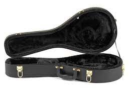 Guardian A Style Mandolin Case