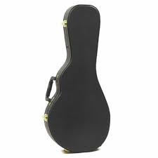 Guardian Economy Archtop F-Model Mandolin Case